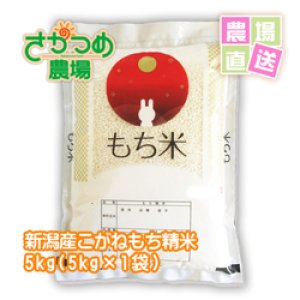 画像: 【新米入荷！】令和6年新潟産こがねもち精米5kg(5kg×1袋)