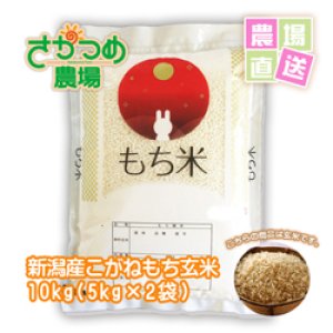 画像: 【新米入荷！】令和6年新潟産こがねもち玄米10kg(5kg×2袋)