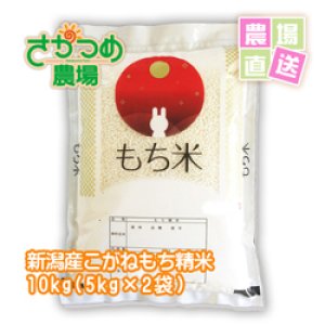 画像: 【新米入荷！】令和6年新潟産こがねもち精米10kg(5kg×2袋)