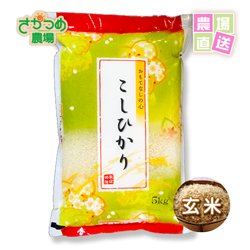 特別栽培コシヒカリ玄米15kg(5kg×3個入)