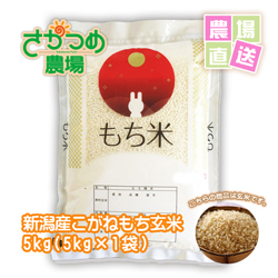 新潟県黄金（こがね)もち玄米 5kg(5kg×1袋)